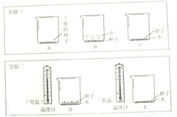 皇冠app下载安装