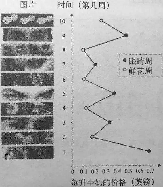 皇冠app下载安装